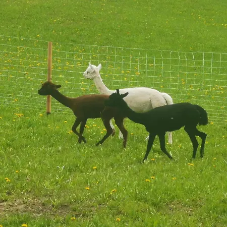 Waldhuette Glueck Auf *