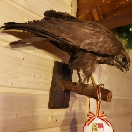 Waldhuette Glueck Auf