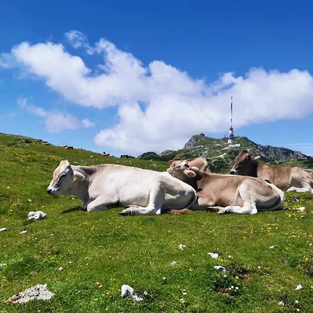Дом отдыха Waldhuette Glueck Auf *