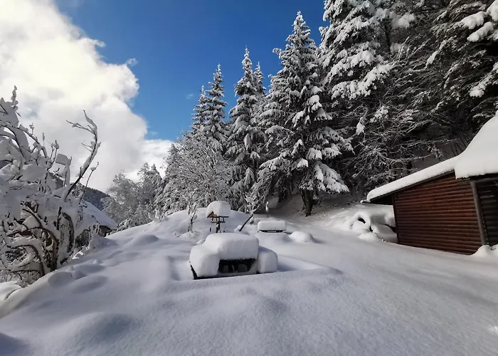 Dom wakacyjny Waldhuette Glueck Auf