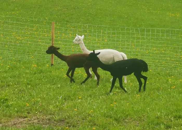 Waldhuette Glueck Auf *