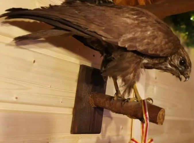 Waldhuette Glueck Auf