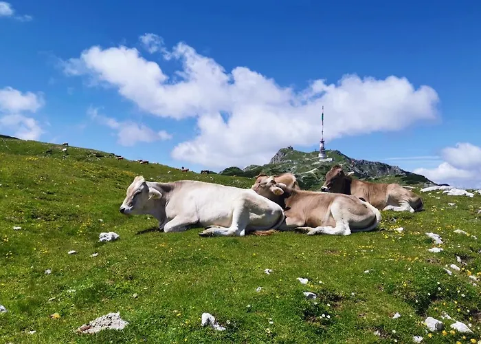 Dom wakacyjny Waldhuette Glueck Auf *