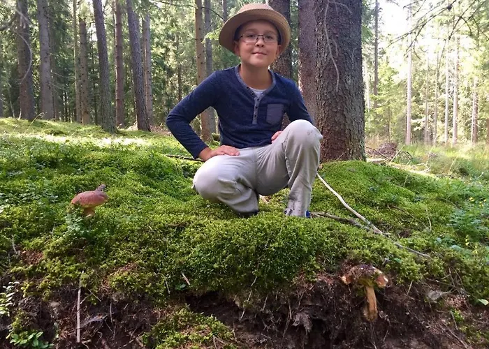 Dom wakacyjny Waldhuette Glueck Auf